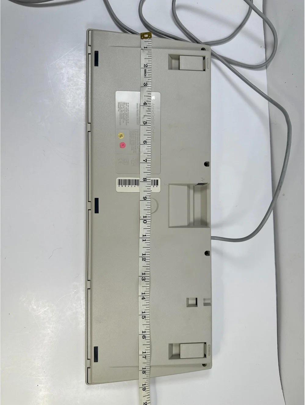 Apple brand size